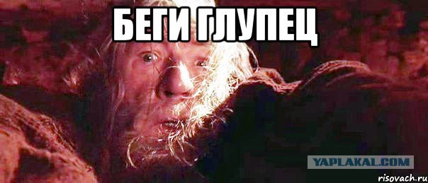 Вот и сходил, блин, за грибочками...