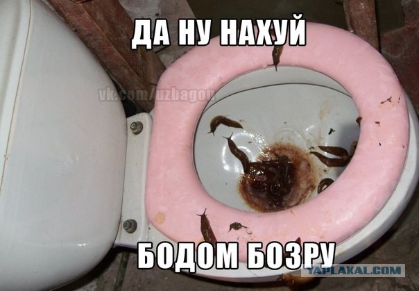 Просто приколы