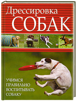 Патриархат в семье