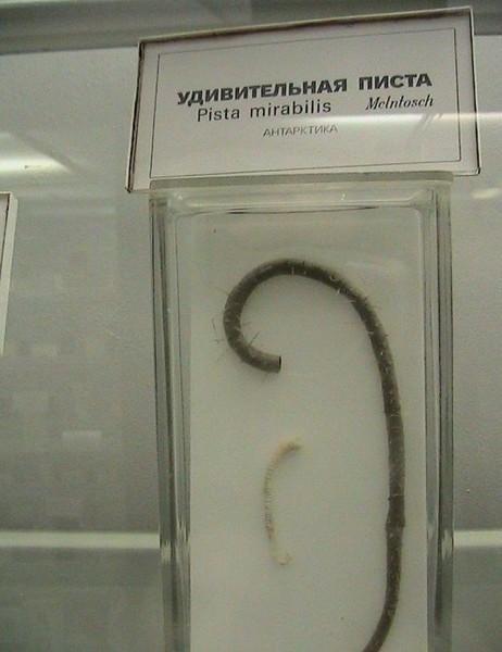 Для поднятия настроения