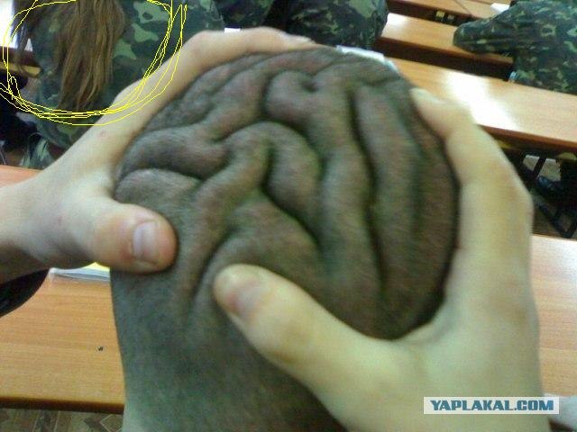 В армии еще и бреют...