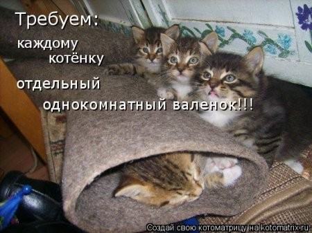 Даешь каждому коту по ботинку!