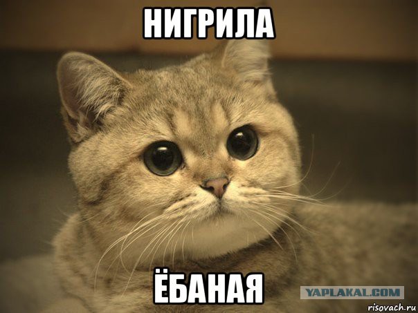 Снайпер сработал красиво