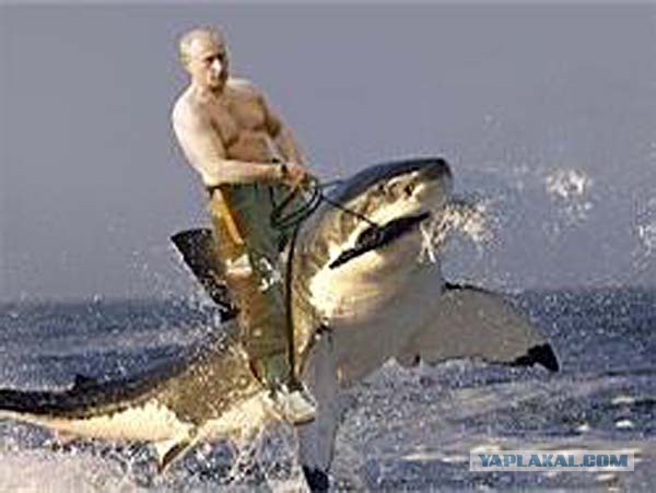 Путин на Американском аналоге ЯПа