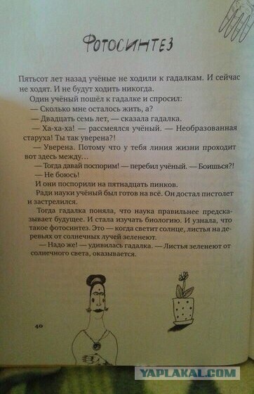Подборка картинок
