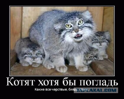 Минутка наркомании на ЯПе