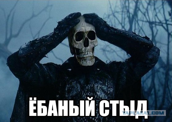 Семья букинистов - «отморозков», избивая восьмерых