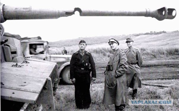 Wargaming 29