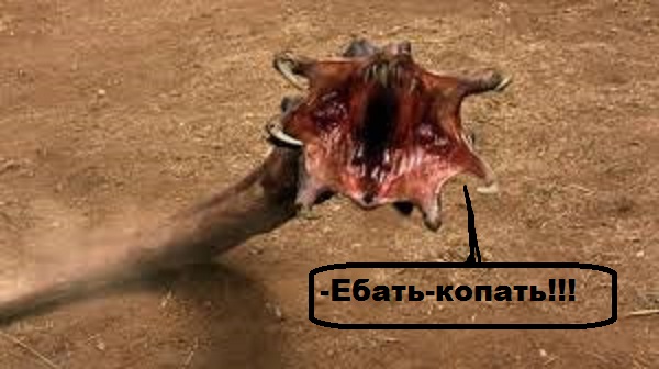 Мотоблок "Дрожь Земли"