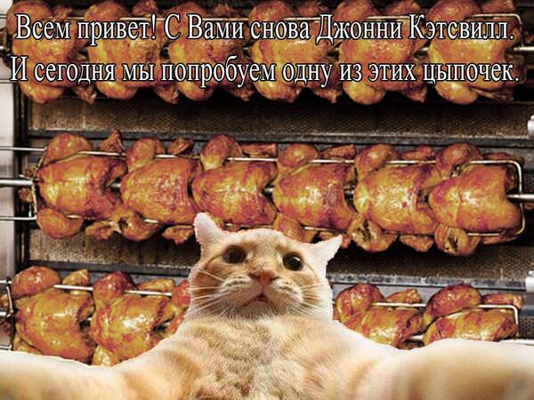 Смешные картинки