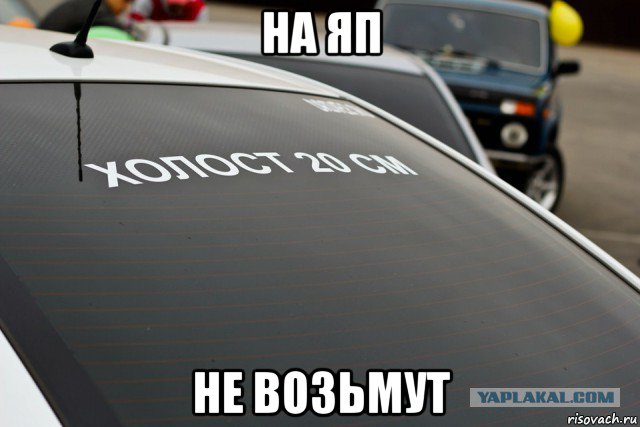 Что обычно водители пишут на своих автомобилях?