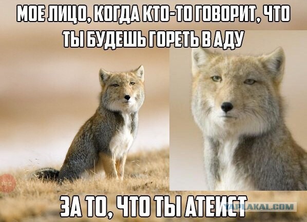 Диалог священника и атеиста