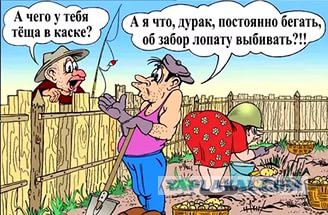 Тёща обрезала мои полторахи из под пива на рассаду
