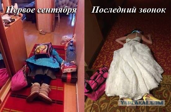 Интересные и веселые картинки