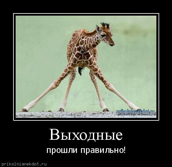 Интересные и веселые картинки