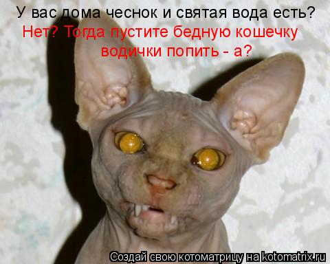 То чувство, когда влюбился прямо в сауне и решил не тянуть с женитьбой