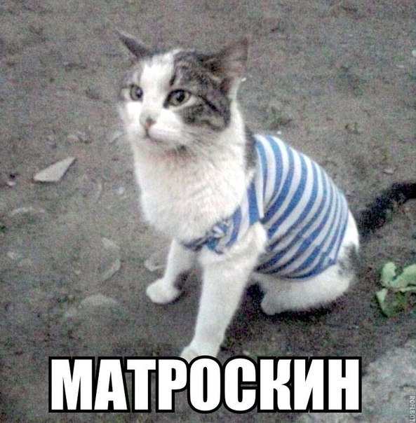 Мохнатые беспредельщики