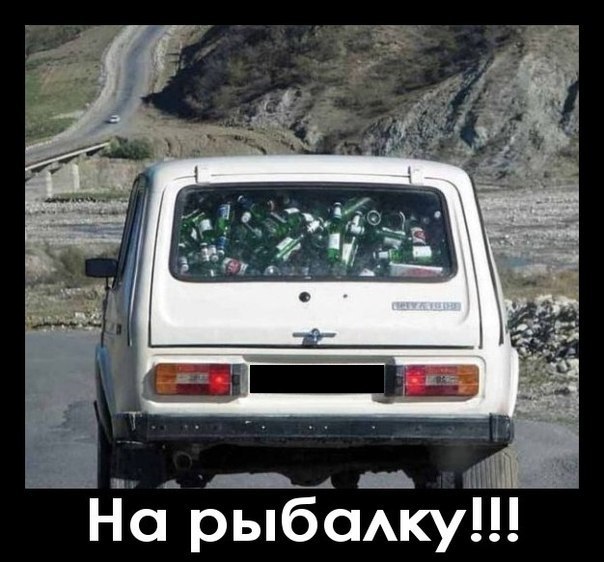 Прикольные картинки