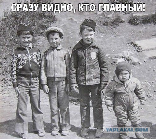 Подборка интересных и веселых картинок