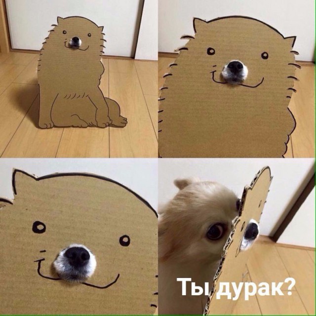 Мой хозяин - идиот!