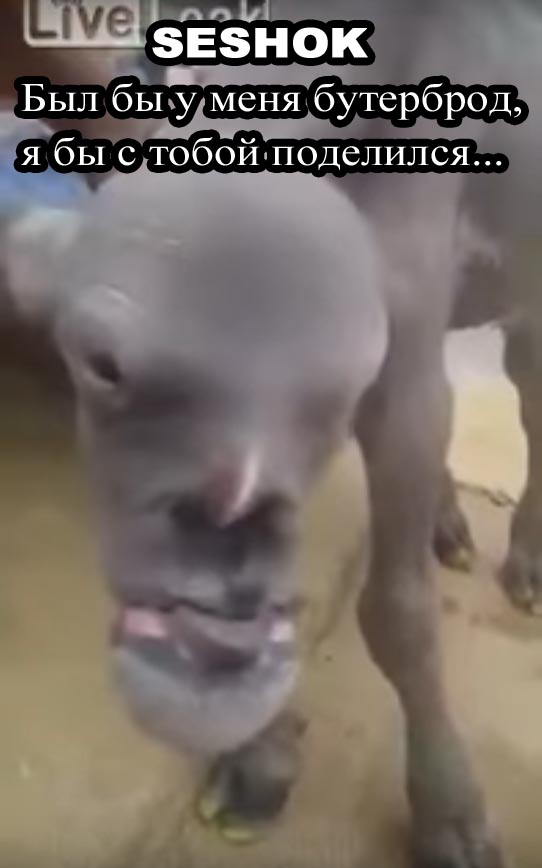 Очередной мутант