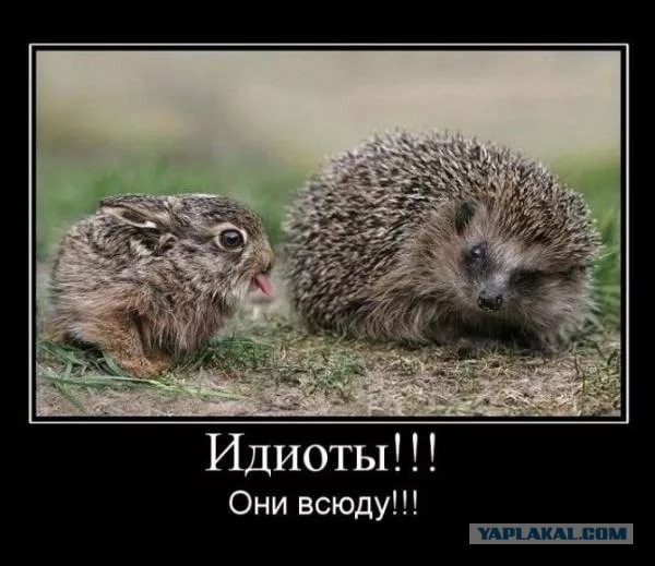 Что происходит с эмигранткой Натальей Ветлицкой