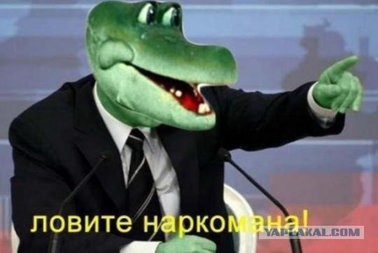 Неважнецкий план...