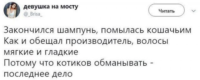 Подеградируем, немного картинок веселых и разных