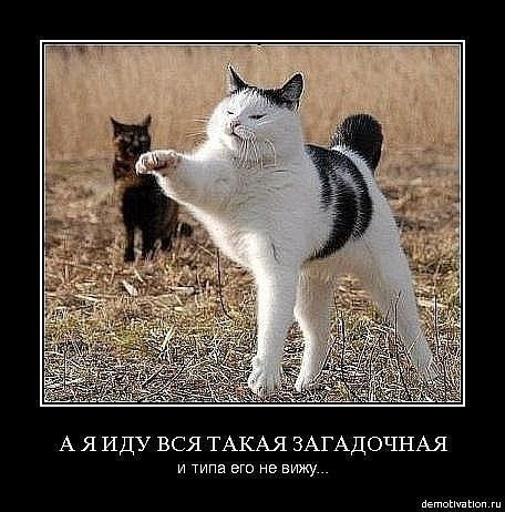 Просто картинки