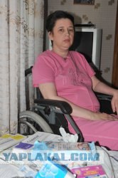 Дуры на дорогах