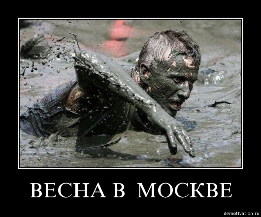 И грустно и смешно