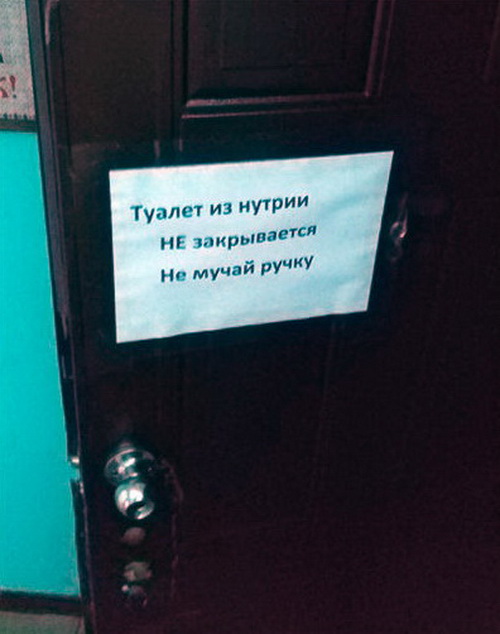 Подборка интересных и веселых картинок