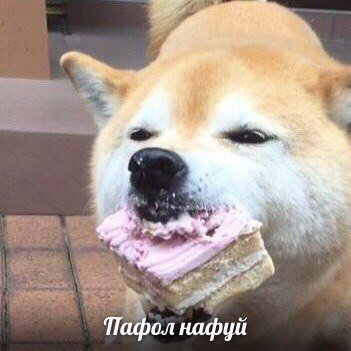 «Это сказочки!». Что удивляет британца Грэма Филлипса в России