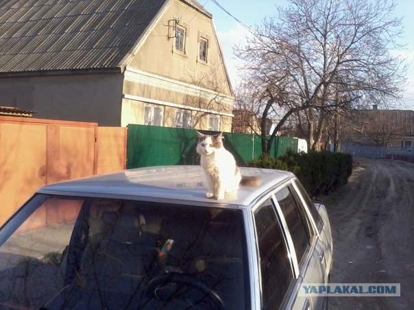 Уходящее поколение автомобилей