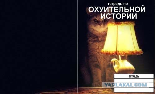 Про проституток и не очень