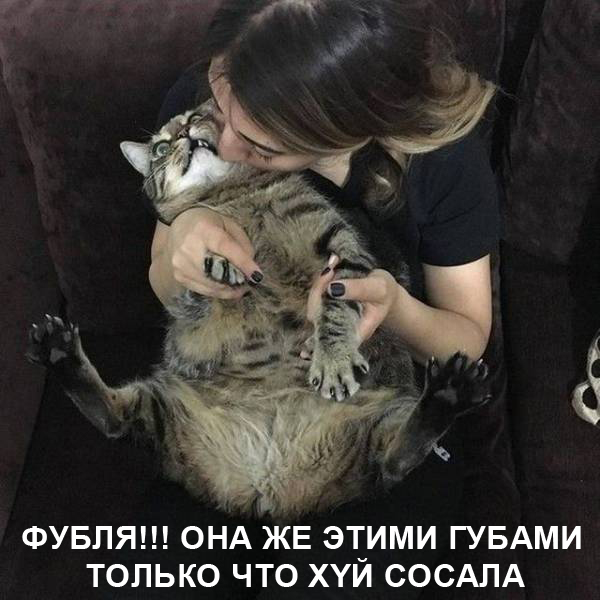 Картинки понедельника