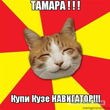 Кот нашел свою хозяйку, пройдя 250 км