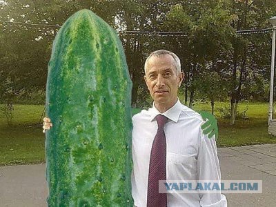 Фото Больших Огурцов