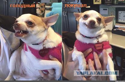 Кого звать, если...