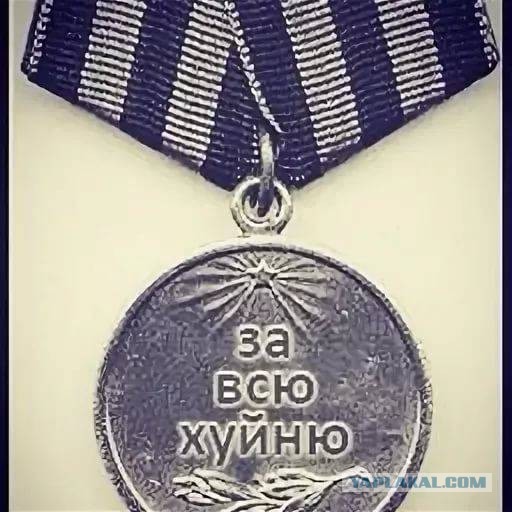 За что так не любят казаков?