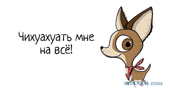 Картинки с надписями и анекдоты 27.7.19