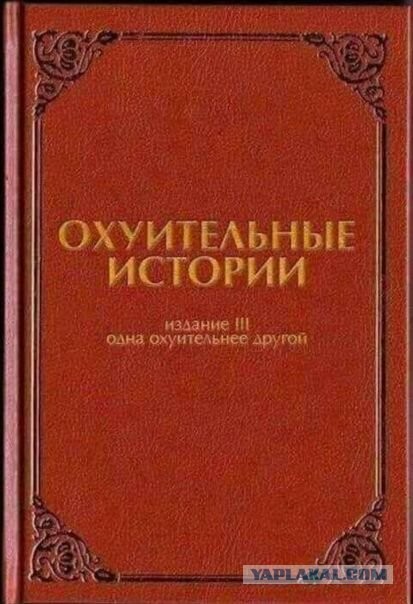 Под Петербургом обозленный водитель «проучил» самосвальщиков, разгрузившихся в лесу. Прикладом по лицу и сгоревшей машиной
