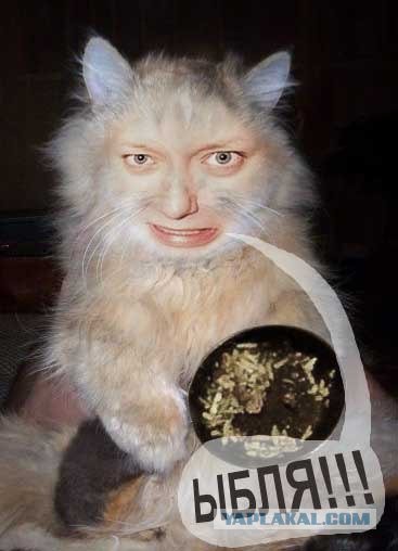 Отжабьте меня пожалуйста
