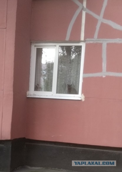 Женщины против ДНК-теста на отцовство