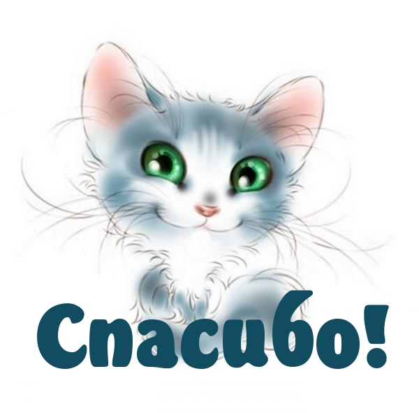 Слепая кошка и все-все-все
