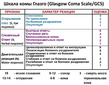 Алексей не «Новичок»