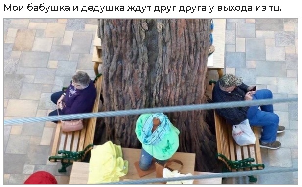 Картинки всякие 06.12.20