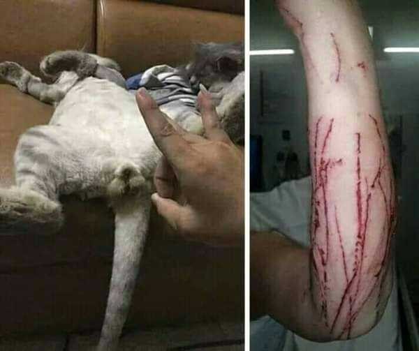 Чпоньк!