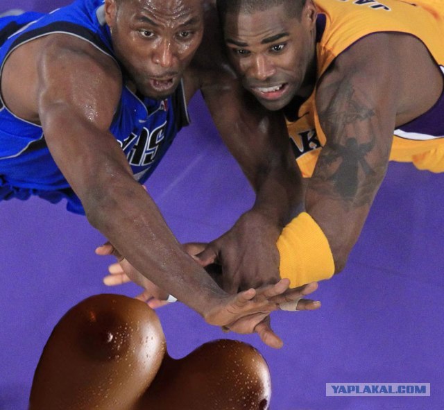 Ну очень жабельная фотография!