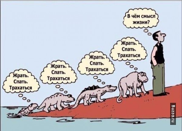 Разные картинки 01.02.2021
